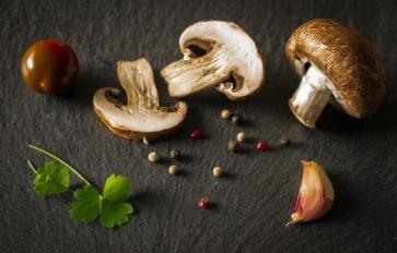 Medicinal Mushroom Foraging At The Grocery Store