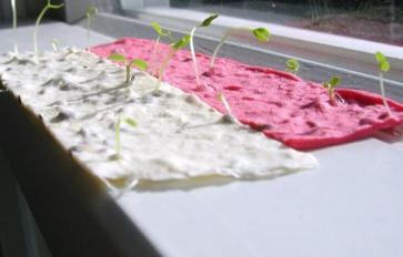 How to Make Plantable Seed Paper