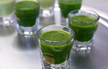 Wheatgrass: Nature’s Finest Raw Food Medicine