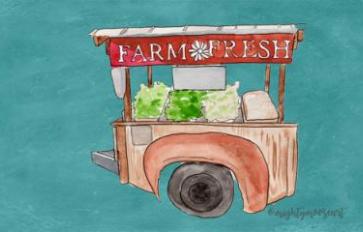 Your Guide To Community Supported Agriculture