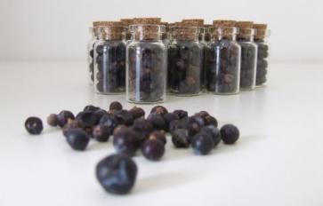 The Uncommon Spice: Juniper Berries