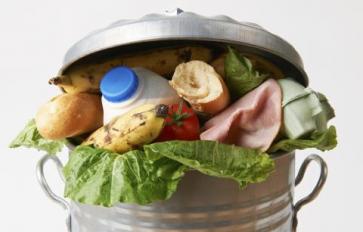 9 Things You Can Do To Combat Food Waste In Your Community