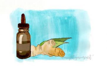 Essential Oils: Physical & Spiritual Properties of Ginger 