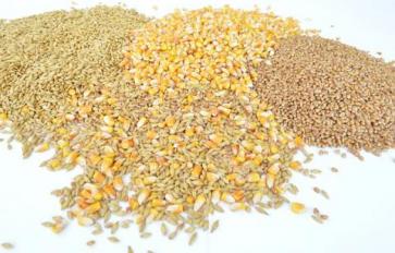 Beyond Brown Rice: Different Grains to Try