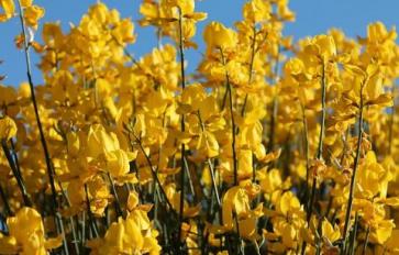 Healing Journeys: Energy Healing Session - Session #6 (Karmic Ailments)