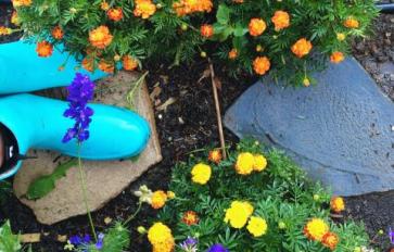 Tips For The Organic Gardener: Natural Pest Control