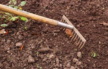 Gardening By Month: May