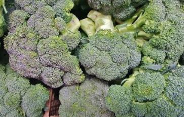 3 Cancers That Fear The Bite of Broccoli