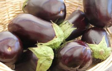 4 Cancers Pummeled By Eggplant