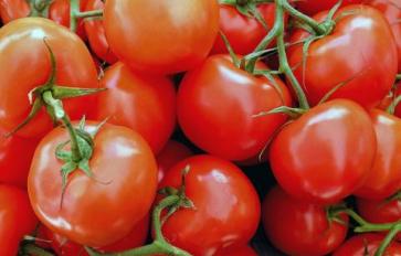 5 Health Benefits of Eating Tomatoes