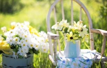 Organic Home Garden Series: 9 Tips for Better Container Gardening
