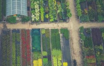 Organic Home Gardening Series: 10 Basic Steps To Start Sheet Composting