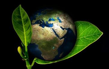 11 Easy Ways to Be Eco-Friendlier Day-to-Day