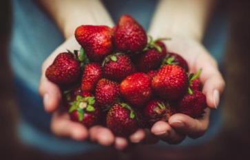 Farm to School Programs: Oakland Unified School District Leads the Way