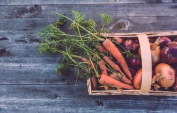 Grow Food: Minnesota Youth Rap About Urban Farming 