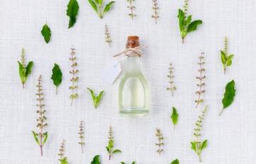 Essential Oils: 5 Amazing Benefits of Tea Tree Oil