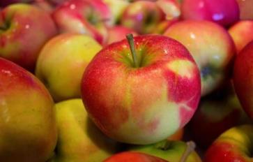 8 Fascinating Uses for Apple Cider Vinegar