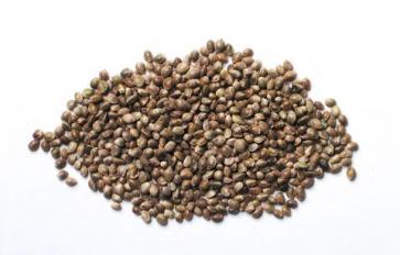 Superfood 101: Hemp Seeds!