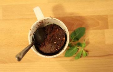 Vegan Chocolate Mug Cake