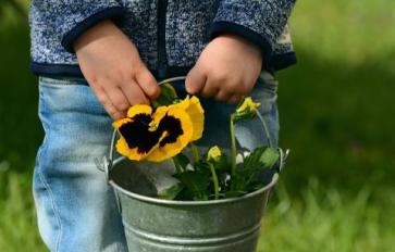 What Really Grows In The Garden: Weeds, Wonder, Memories, and Magic