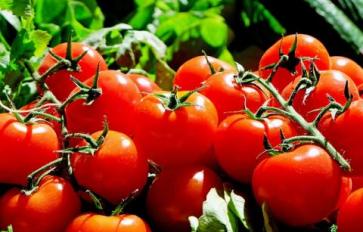 Health Benefits of Tomatoes: Cooked vs. Raw