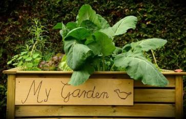 Gardening With Children: Fun Themes