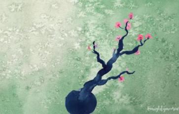 Ikebana: A Mindful Ancient Art