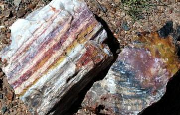 Healing With Petrified Wood: Deep Transformation