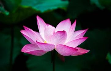 8 Ways To Live a Yogic Lifestyle Now