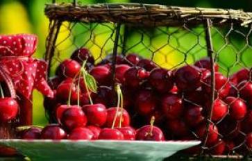 How Cherries E*PIT*omize the Perfect Summer Treat