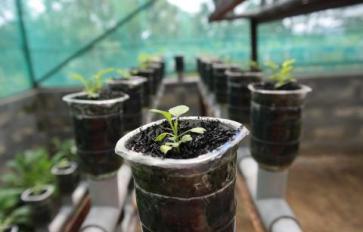 Future Farms: Hydroponic Agriculture