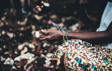 Cook Up Cassava: A South American Staple