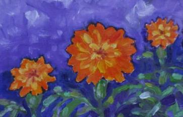 Your Guide To Marigolds