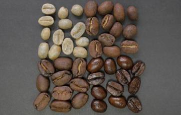  Coffee 101: What to Expect from Your Local Roaster