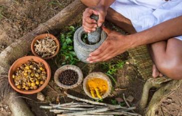 Ayurveda 101: Ancient Wisdom, Modern Wellness