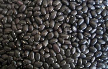 Superfood 101: Black Beans!