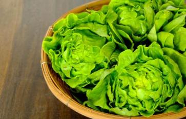 Superfood 101: Butter Lettuce!