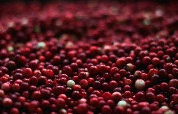 3 Reasons To Eat Cranberries