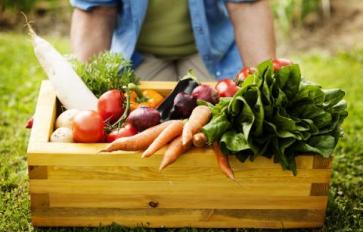 Disappointed In Your CSA Box? Read This