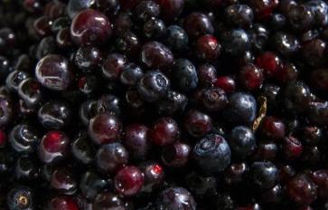 Superfood 101: Huckleberries!