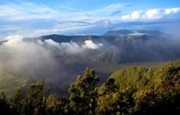 Mother Earth's Medicine Cabinet: Using Kava Holistically