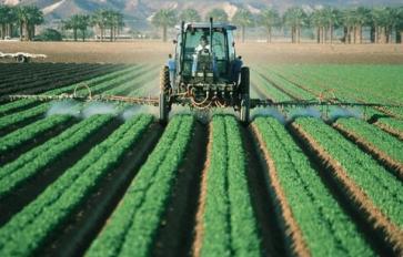 Neonicotinoid Pesticides and Bees: What You Need to Know