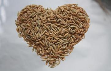 Superfood 101: Brown Rice!