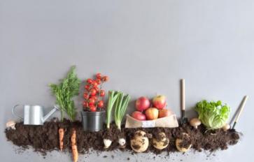 Composting Tips, Tricks & Hacks