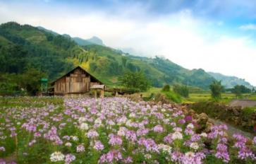 Not Your Ordinary Vacation: Try A Farm Stay