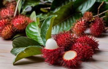 Superfood 101: Rambutan!