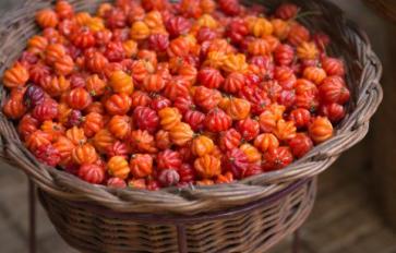 Superfood 101: Pitanga (Surinam Cherry)!