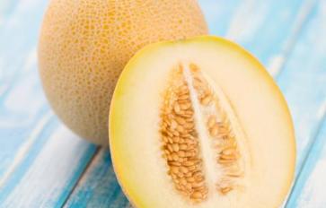 Superfood 101: Galia Melon!