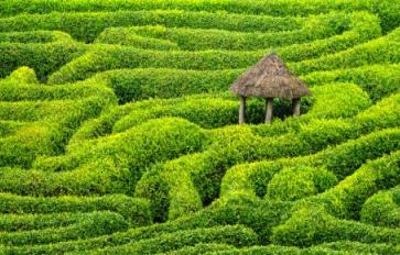 The Therapeutic Benefits Of Labyrinths: Trade Stress For Peace & Calm