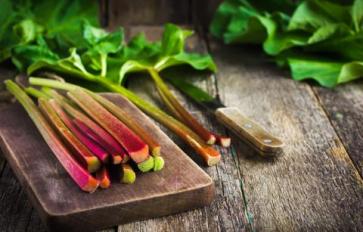 Superfood 101: Rhubarb! (With Rhubarbeque Sauce Recipe)